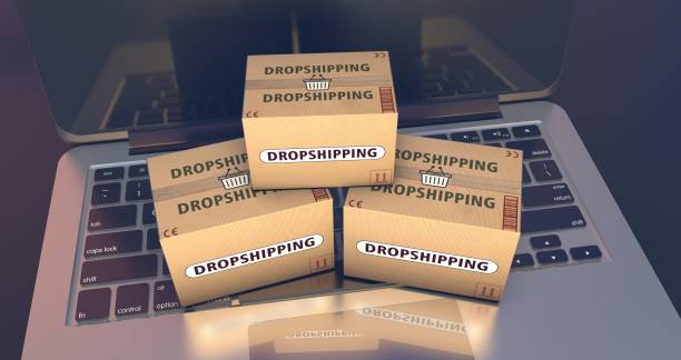 dropshipping logistics solutions provider dropshipping logistics solutions provider
