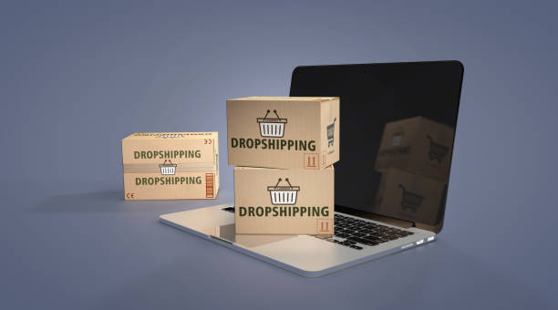 dropshipping logistics solutions
